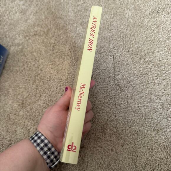 Antique Iron Identification and Values by Kathryn McNerney Values Updated 1998 - Picture 8 of 11